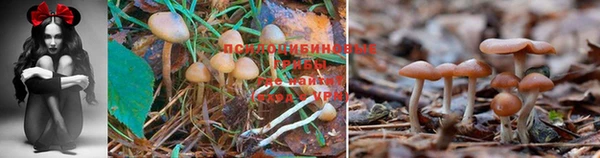 мефедрон Богданович